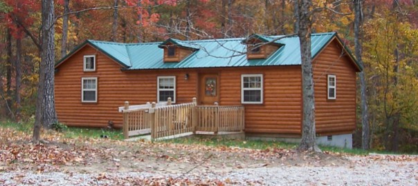 Log Cabin with green roof in fall setting